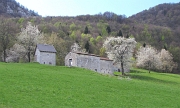 25 Vecchie cascine tra i ciliegi...